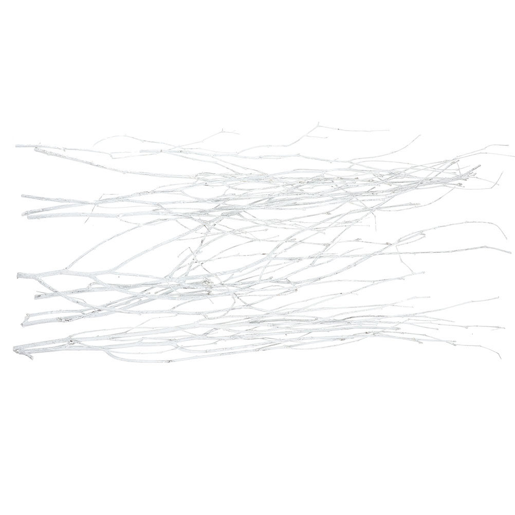 12Pcs Natural Small Twigs Drie - огляд і ціна Home Office Interior Design