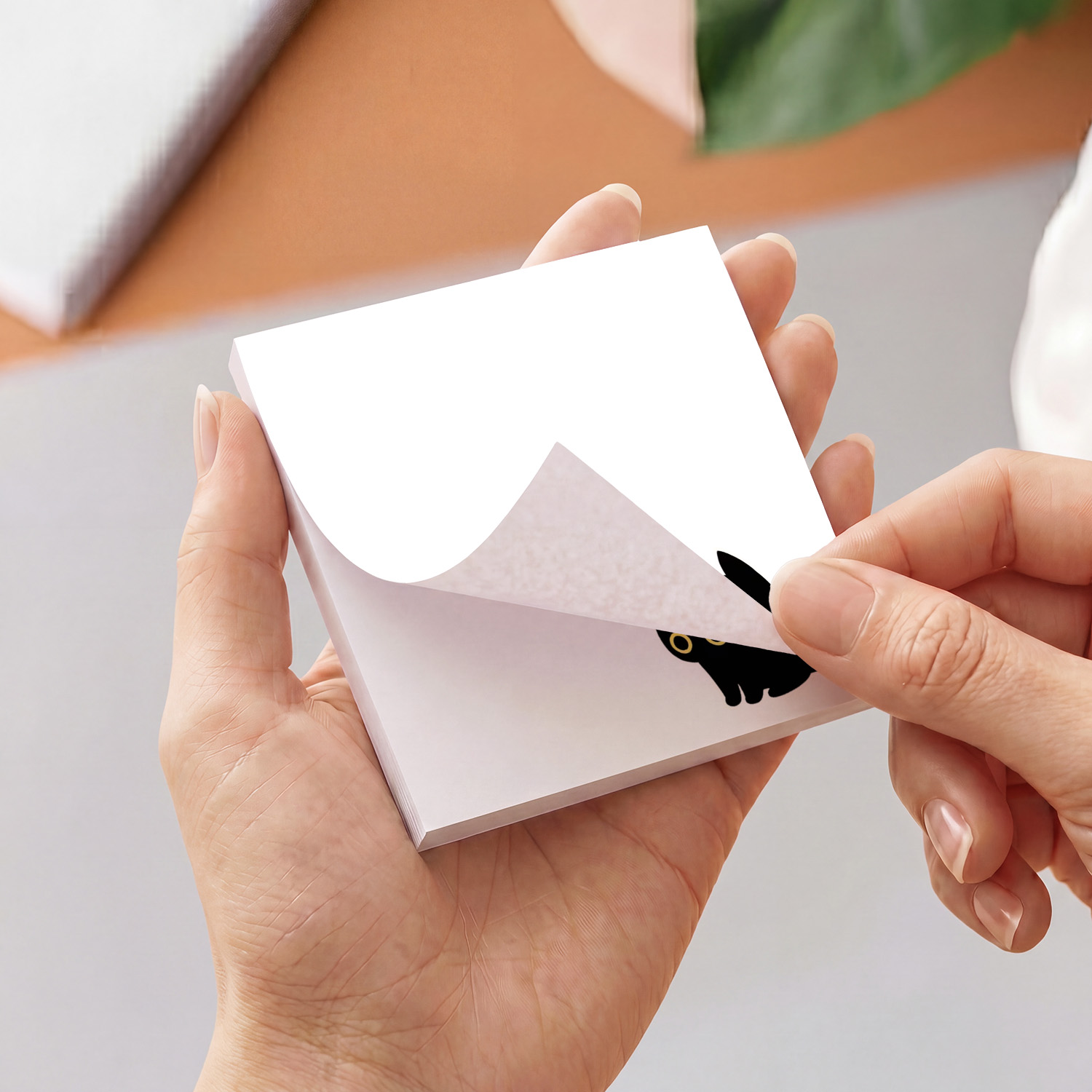 2pcs Cute Black Cat Sticky Not - огляд і ціна Sticky Note Dispenser